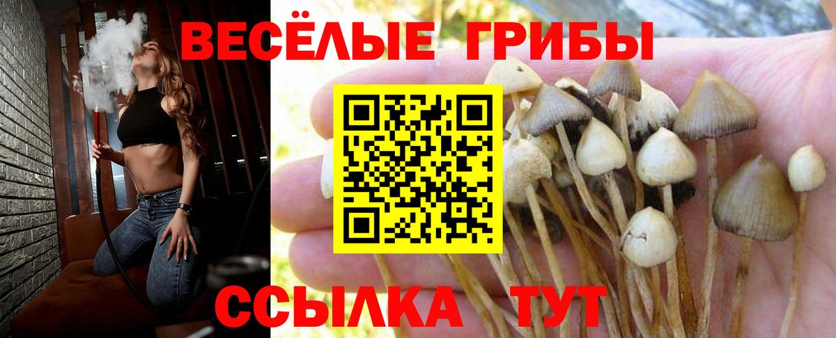 Галлюциногенные грибы Cubensis  Галлюциногенные грибы MAGIC MUSHROOMS  Мыски  Вход с VPN 
